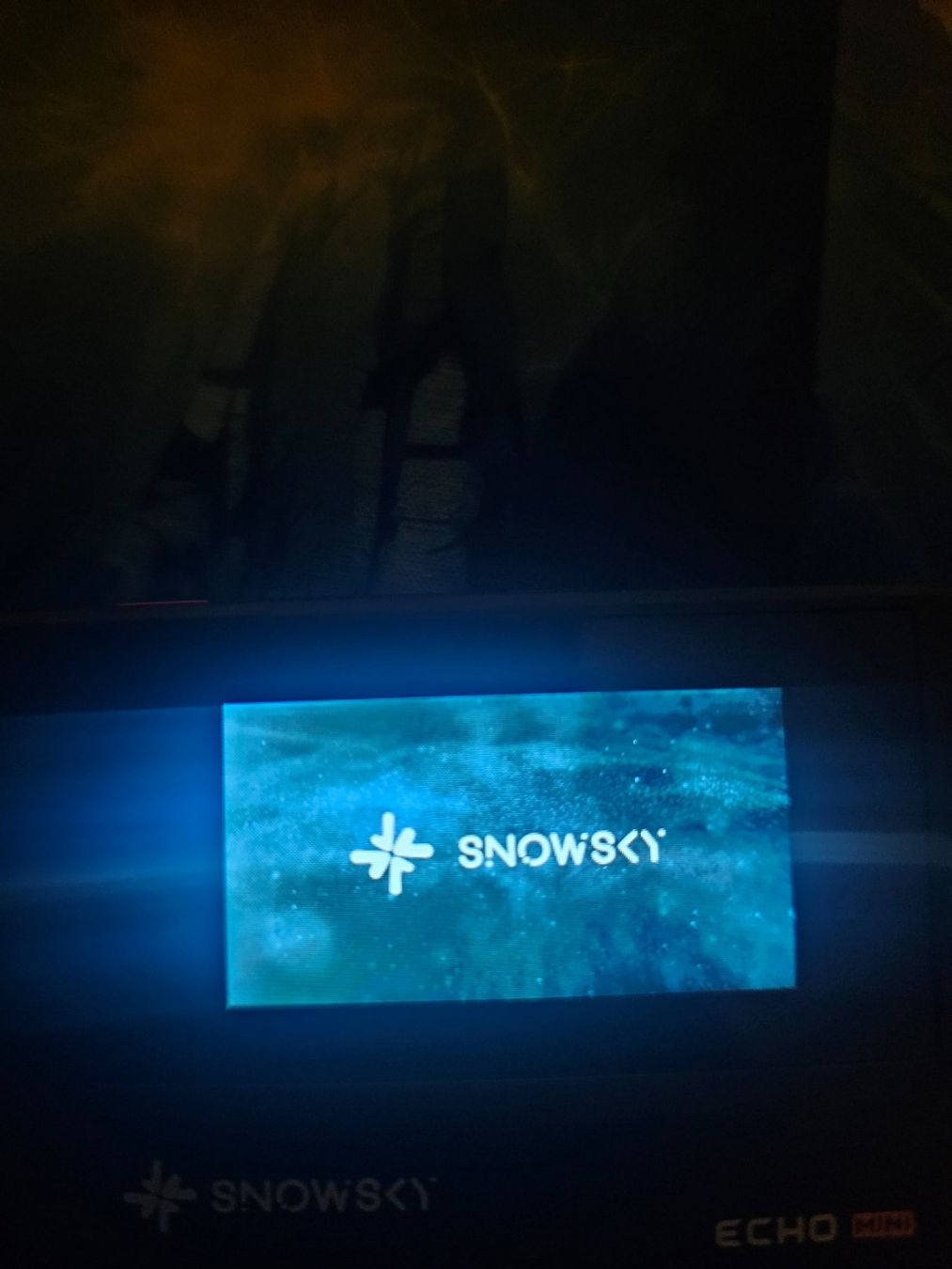 Lettore multimediale portatile: Lettore musicale SNOWSKY ECHO MINI nero Hi-Res Audio – Usato da Mendrisio venduto da ibr_ckm6 6