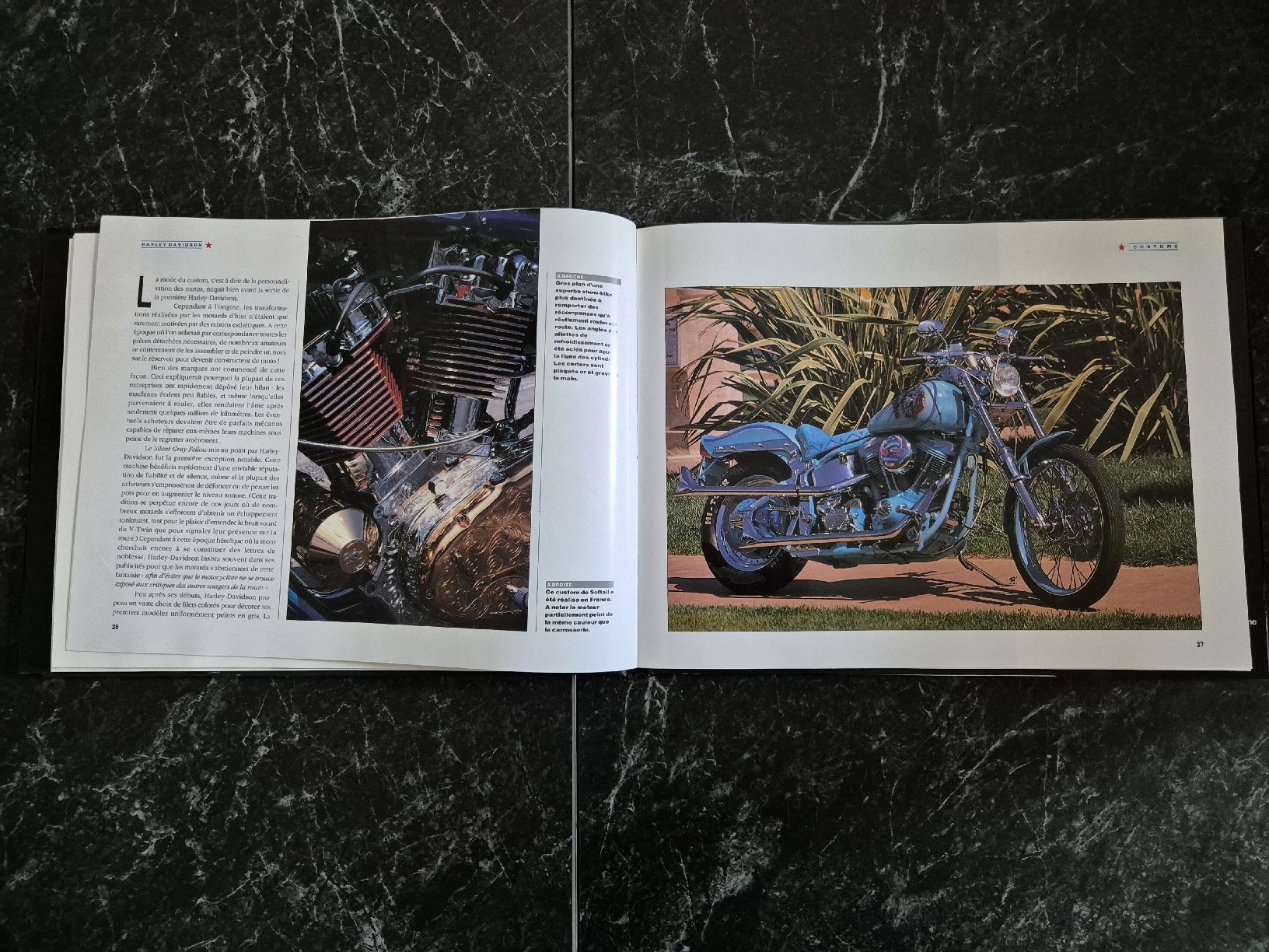 Libri: Livre Harley-Davidson – Usato da Le Locle venduto da CHEGUA 1