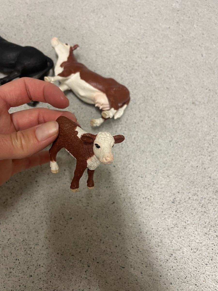 Schleich Statuette: Schleichkühe – Usato da Walchwil venduto da Pirib82 4