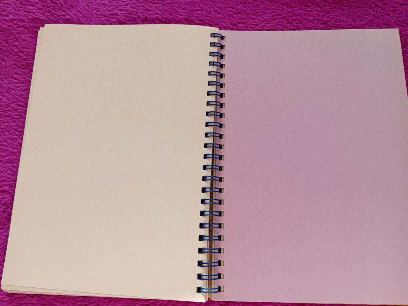 Livres: Ein besonderes Tagebuch – Neuf (Voir description) à Witterswil par hele04 3