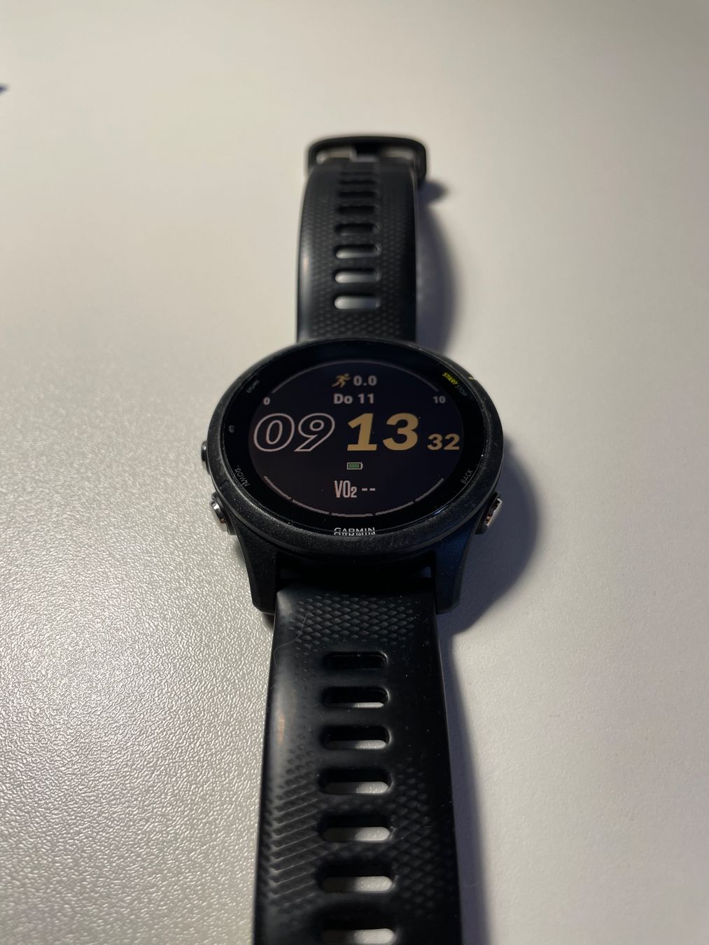Garmin Smartwatch: Garmin Forrunner 255 Music – Usato da Lupfig venduto da T765RS 1