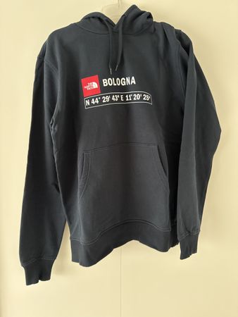 Hoodie THE NORTH FACE