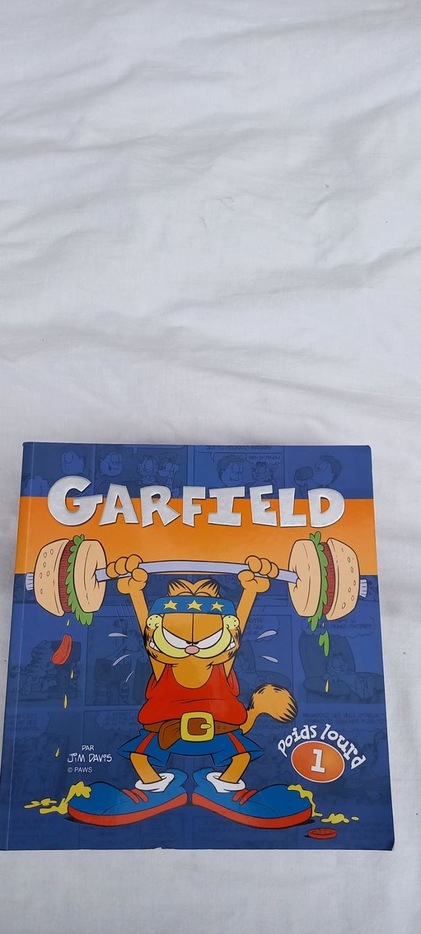 Fumetti: BD Garfield Poids lourd 1 Comic Livre – Usato da Fey venduto da sverigi