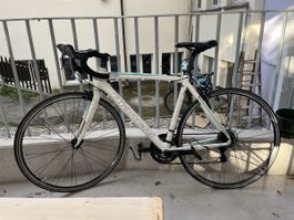 Bianchi Rennvelo Damen Alu Celeste/Weiss