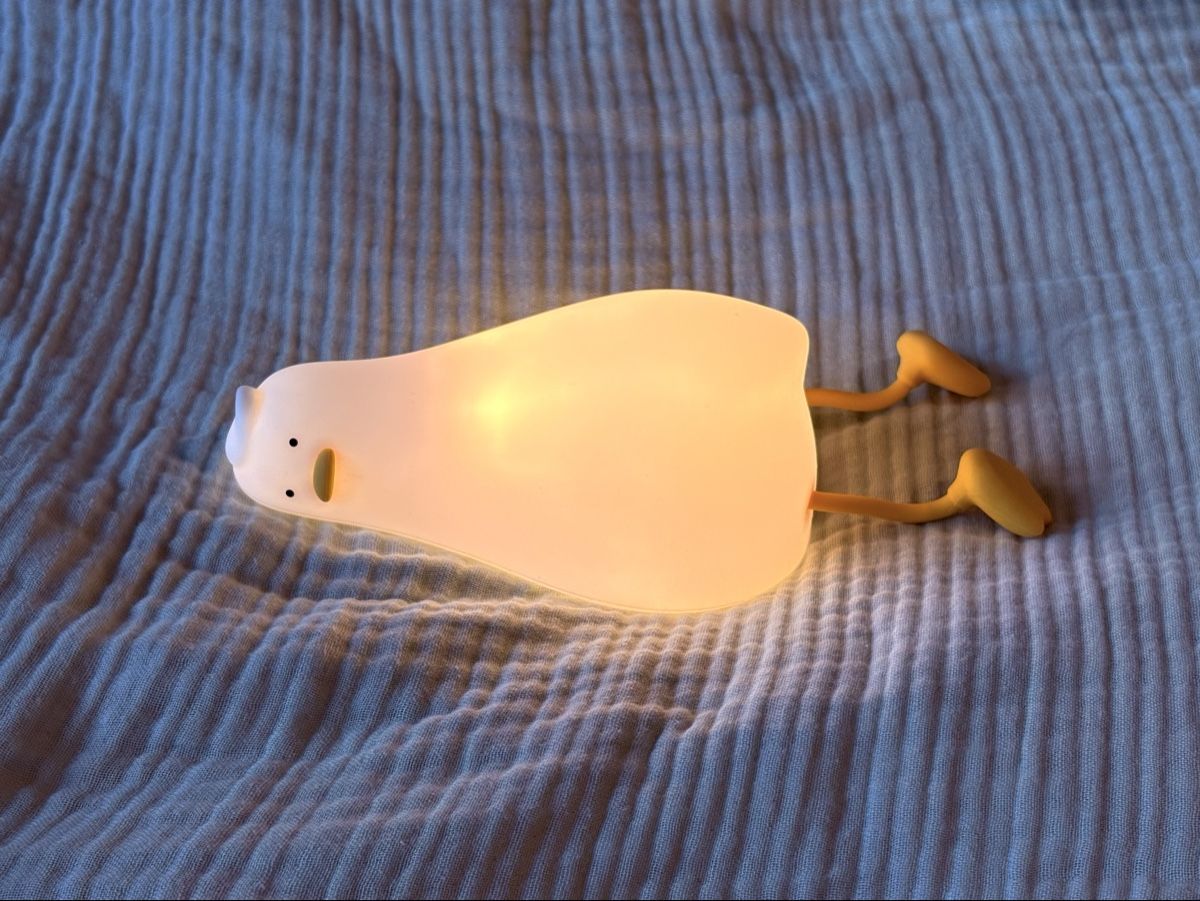 Lampade: Nightlight Laying Duck  – Usato da Jona venduto da froggitto