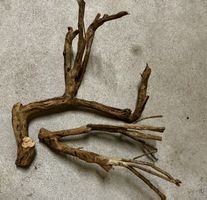 Aquarium/Terrarium Wurzel Talawa Holz