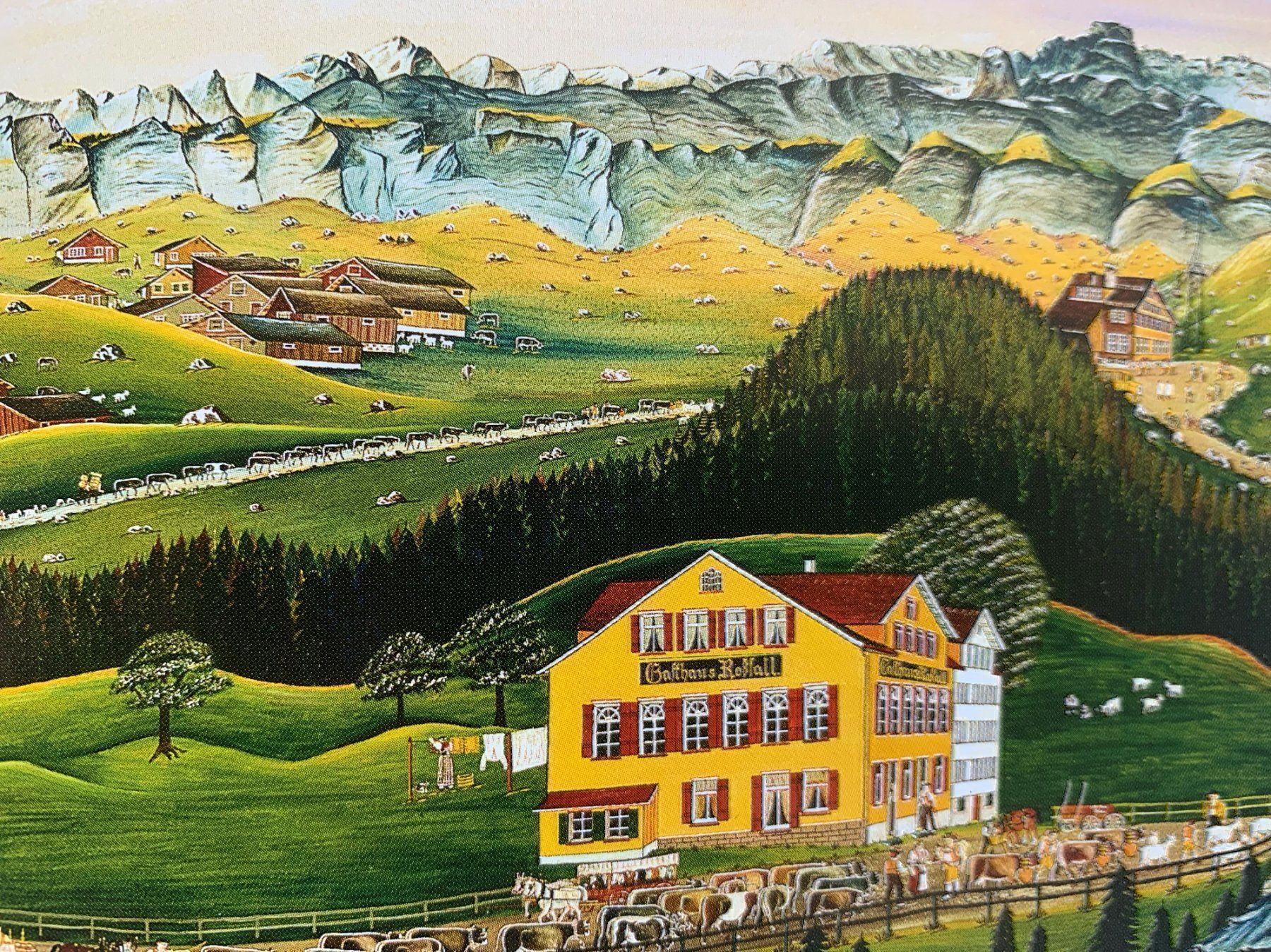 Libri: Der Alpstein – Usato da Volketswil venduto da zwitsch33 2