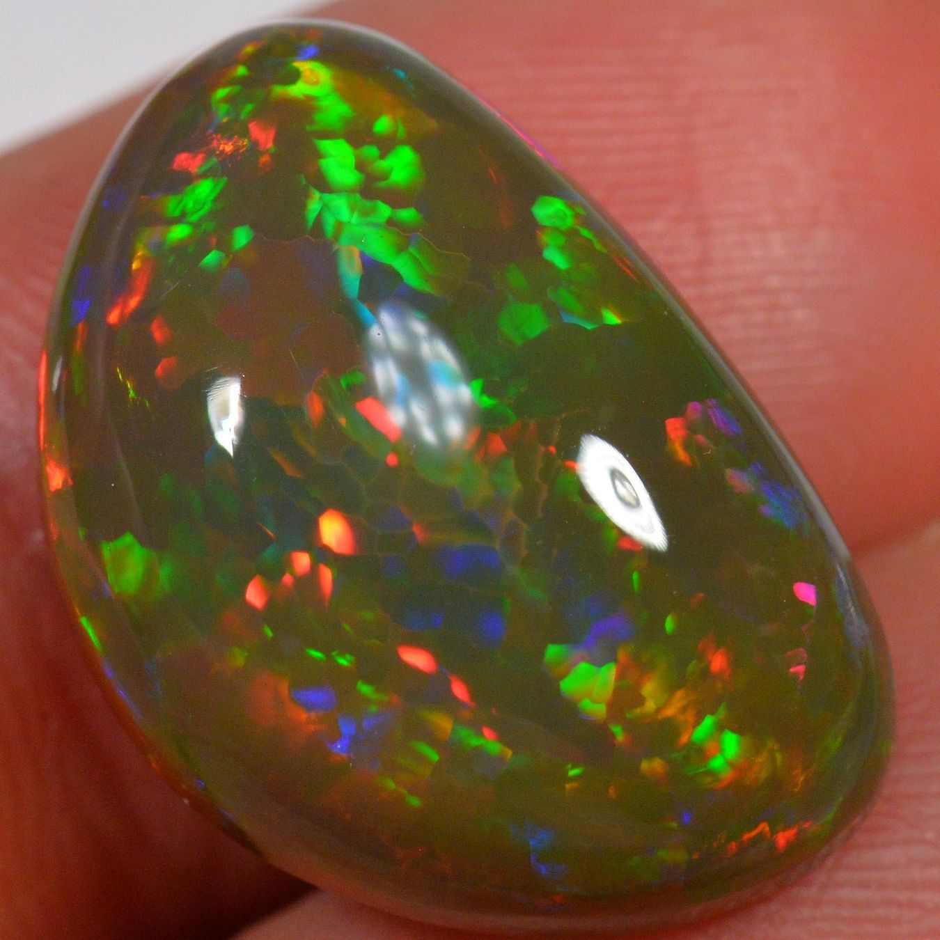 Pietre preziose: 14.4 Karat - Äthiopischer Welo Opal – Nuovo (secondo la descrizione) da Rüti ZH venduto da DeinOpal 2