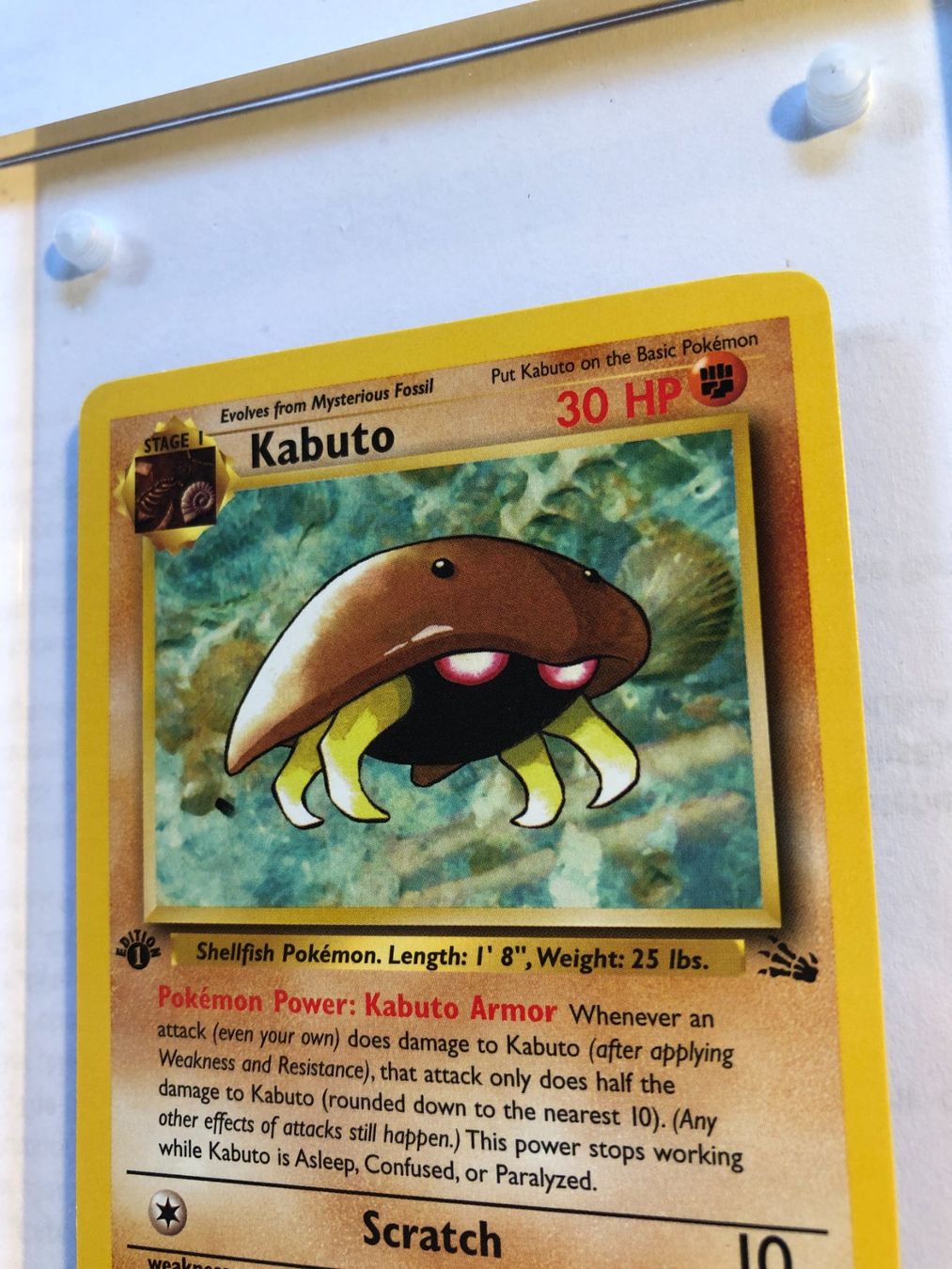 Sammelbilder & Trading cards: Kabuto 1st Fossil - MINT - ab 1.- – Gebraucht aus Giubiasco von dan_pr8b 3