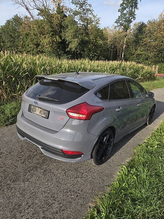Automobili: Ford Focus ST Mk3 Tdci – Usato da Retschwil venduto da KATANA_02 2
