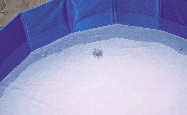 Piscine: Hundepool faltbar ca 150 cm Durchmesser – Usato da Niederscherli venduto da Cram3 1