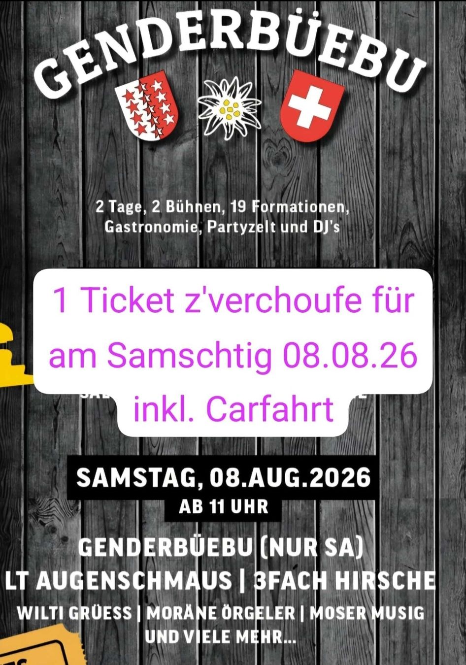 Tickets: Genderbüebu Openair 2026 8.August – Neu und originalverpackt aus Mörigen von Sandra_z