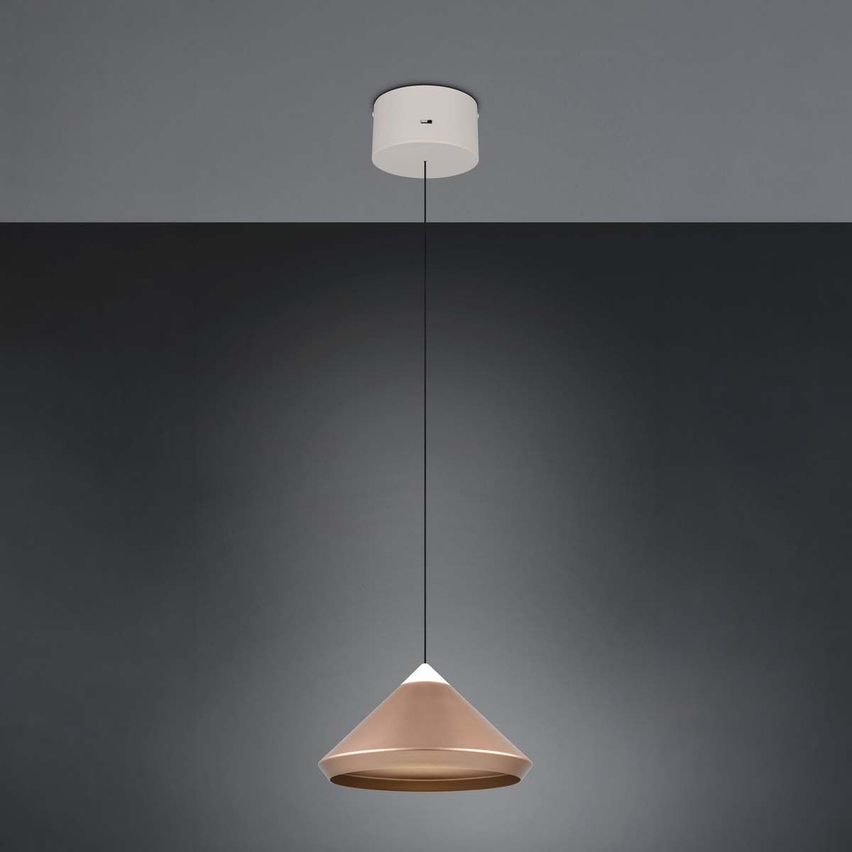 Lampadari & plafoniere: LED Pendelleuchte, Coffee, CCT, 30 cm Ø – Nuovo (secondo la descrizione) da Kreuzlingen venduto da Smart-Light 8
