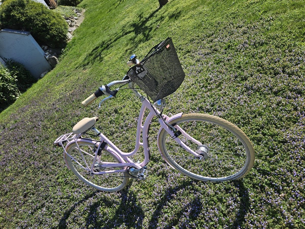Cresta Biciclette: Vélo Cresta Boulevard rose, avec panier et accessoires – Nuovo (secondo la descrizione) da Martigny venduto da ctr200 8