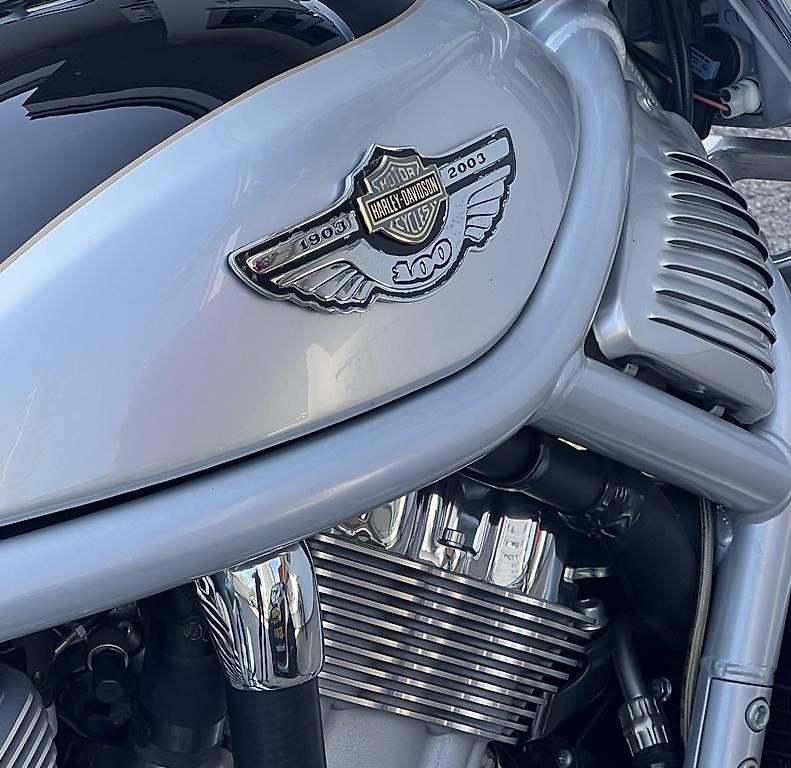 Harley-Davidson Chopper: Harley Davidson  V Road – Gebraucht aus Winterthur von Giannispizza 4