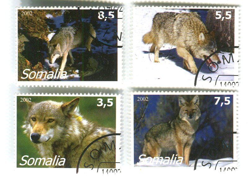 Tous les timbres: Briefmarken "Wölfe". Somalia – D'occasion à Basel par Butsch5