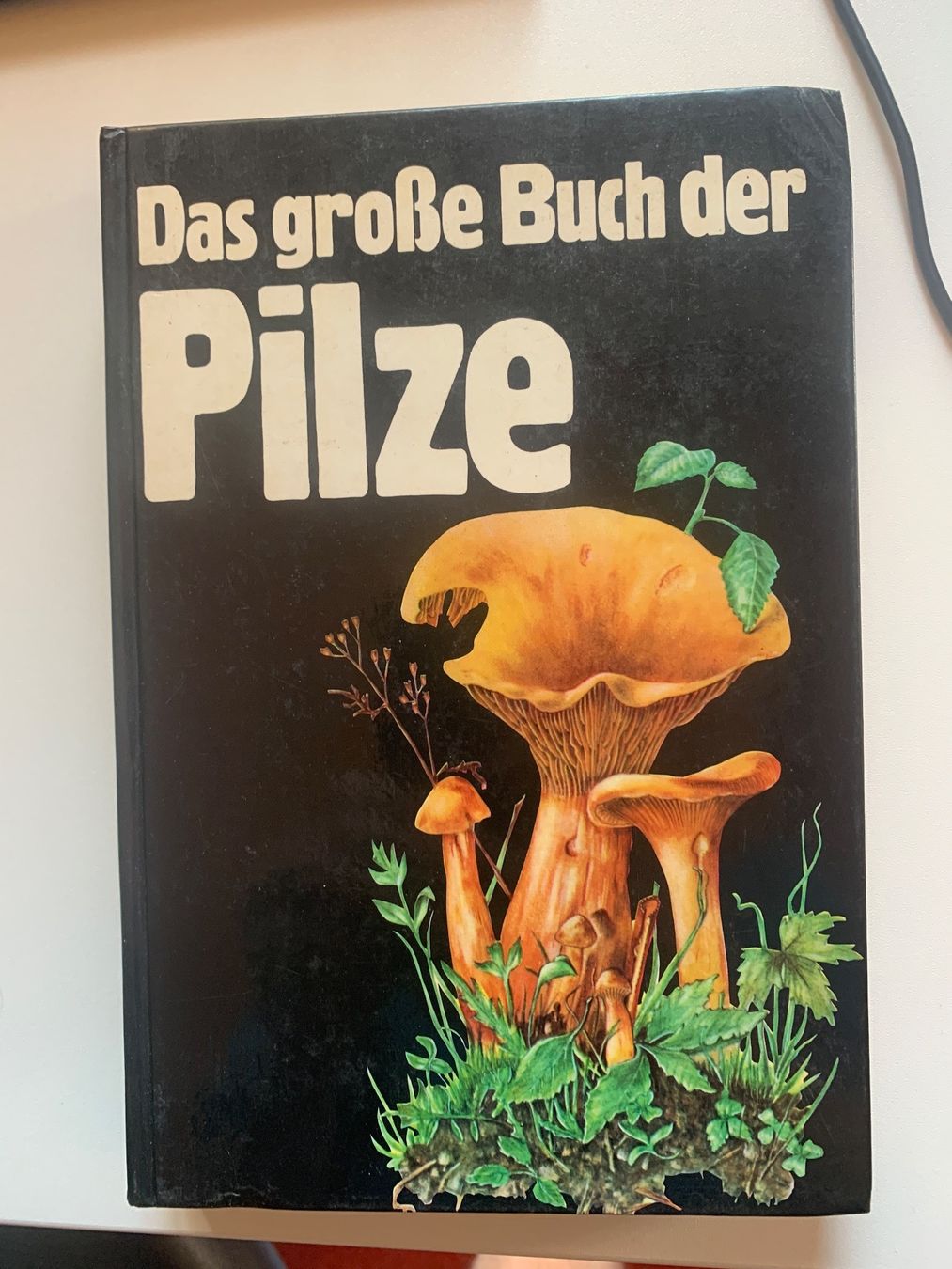 Libri: Das grosse Pilzbuch – Usato da Wiggen venduto da Antoniotto