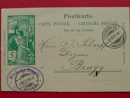 1900 (30.AUG). Luxus-UPU-Karte: ZÜRICH-BRUGG, Privat: NIGGLI