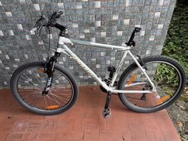 Mountainbike 21 Gänge