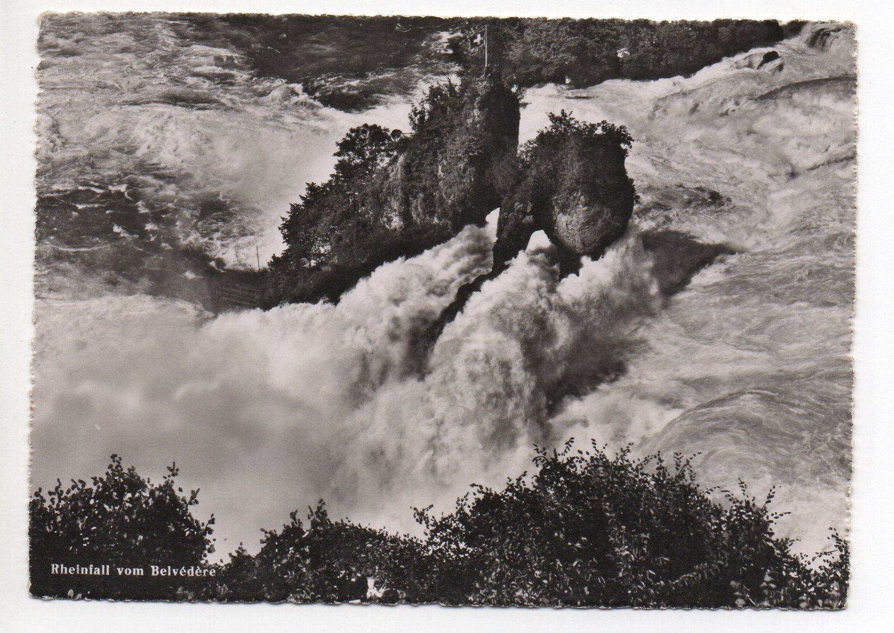 Cartoline postali: NEUHAUSEN Rheinfall vom Belvédère – Nuovo (secondo la descrizione) da Jona venduto da philajona
