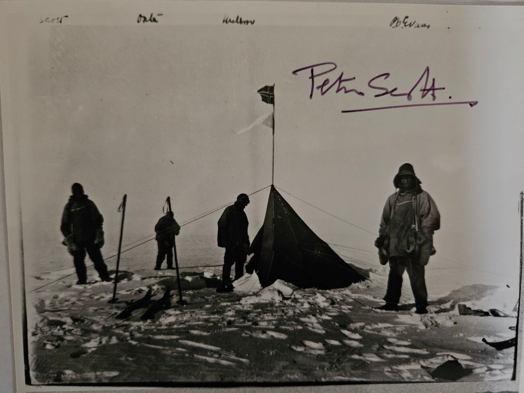 Autografi: Sir Peter Scott, Originalautogramm, Preisvorschlag – Usato da Gattikon venduto da balumogli 1