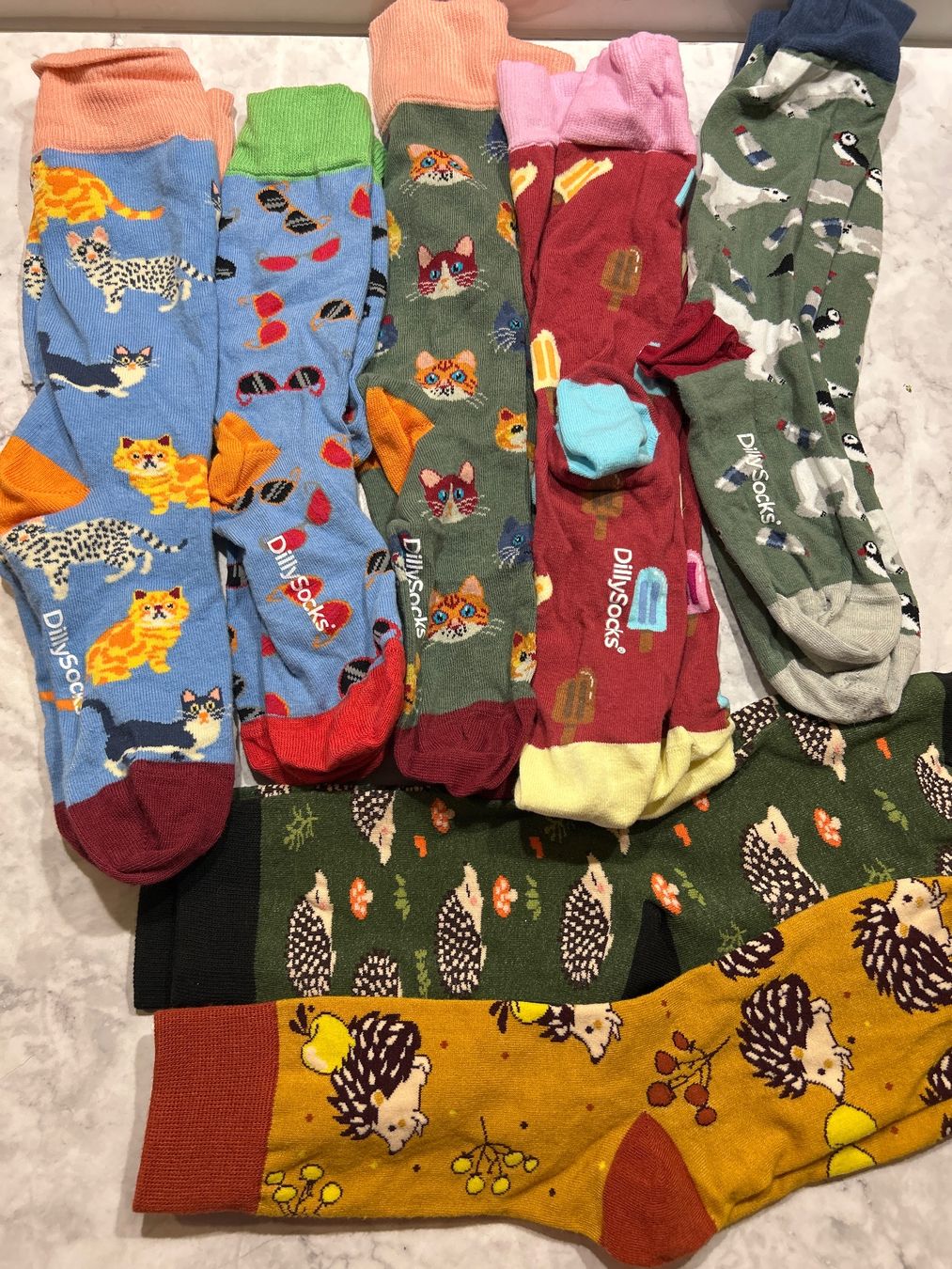 Calze: DillySocks Socken Dilly Socks – Usato da Basel venduto da toy_t8bb