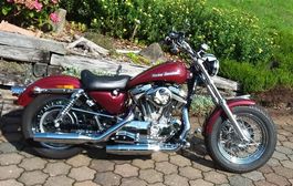 Harley Davidson Sportster XLH 883