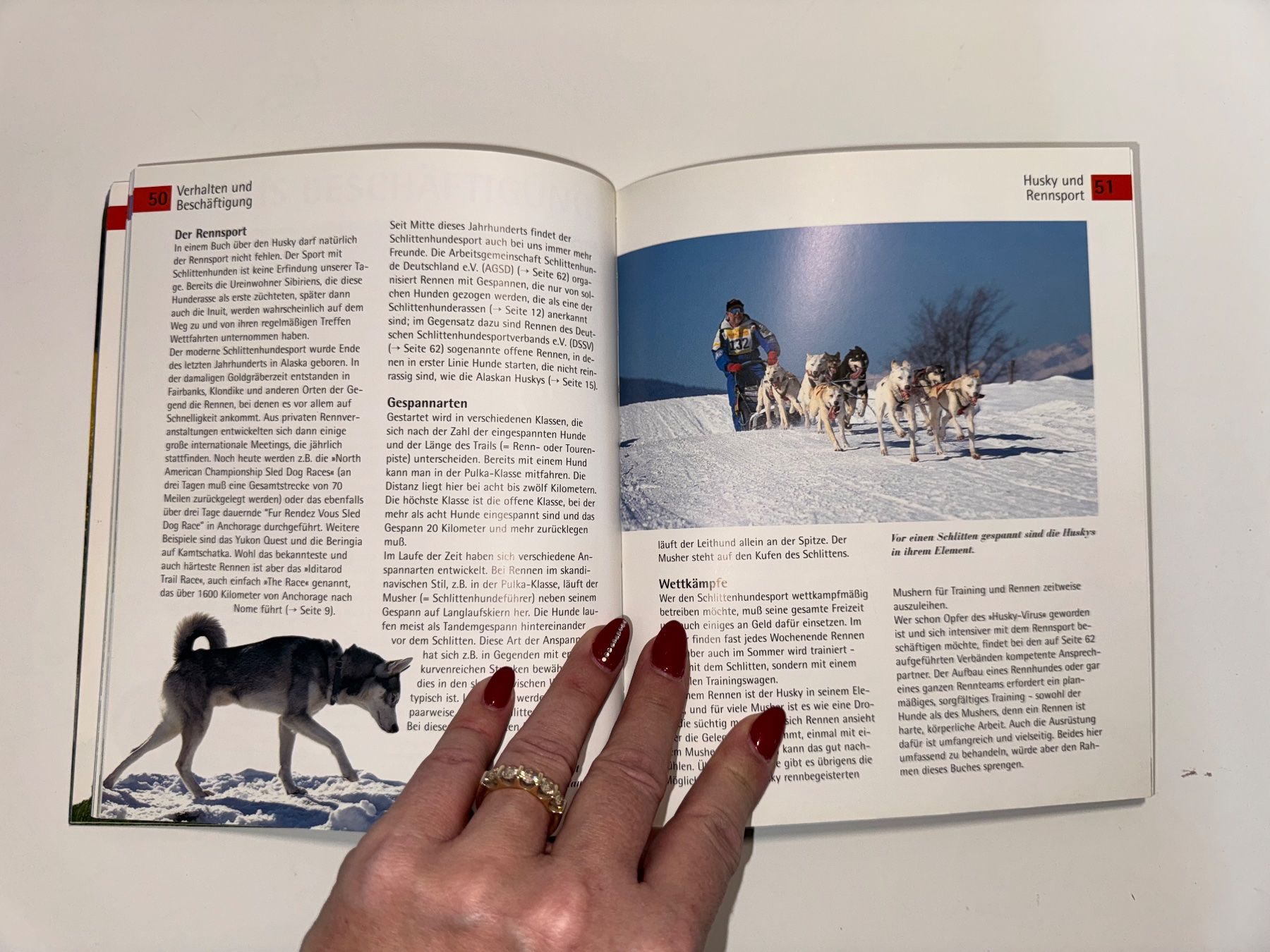 Bücher: BUCH: Husky – Gebraucht aus Grosswangen von Second_hand_paradise 4