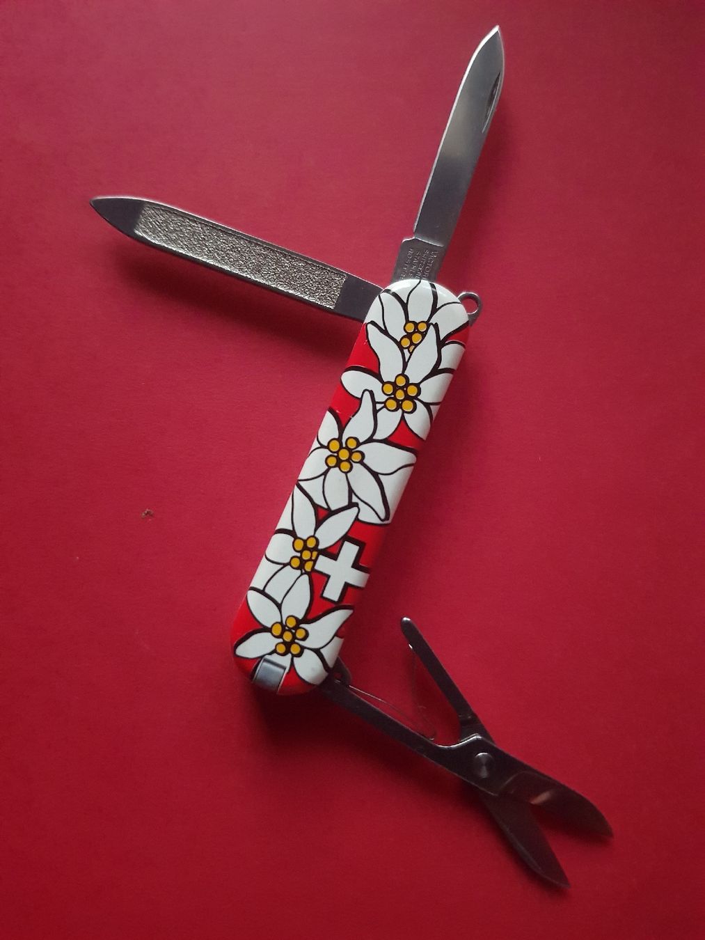 Victorinox Coltelli tascabile: Victorinox Mowag Sackmesser – Nuovo (secondo la descrizione) da Altnau venduto da samira41 2