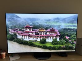 PANASONIC TX-65HZC1004 (65” 4k OLED)