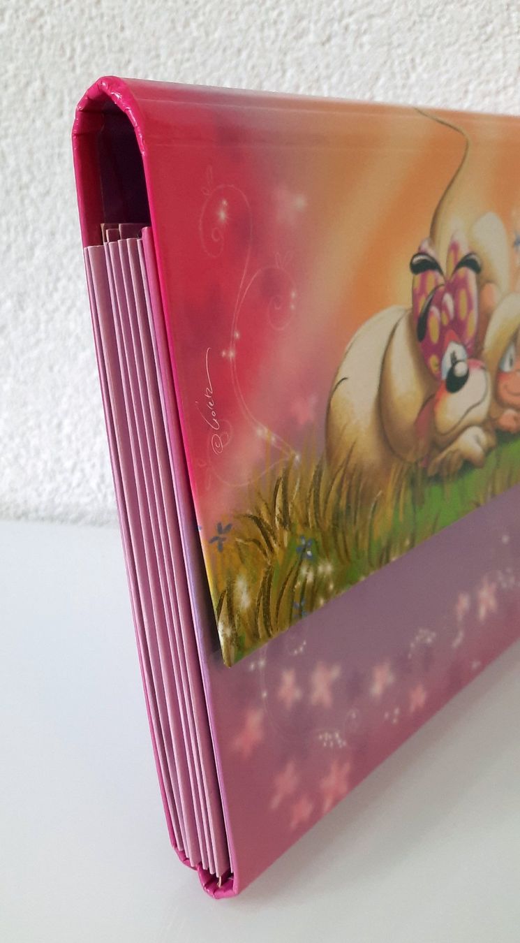 Giocattoli: Diddl Fächermappe aus den 90er Jahren – Usato da Märstetten venduto da msl_p7h7 2