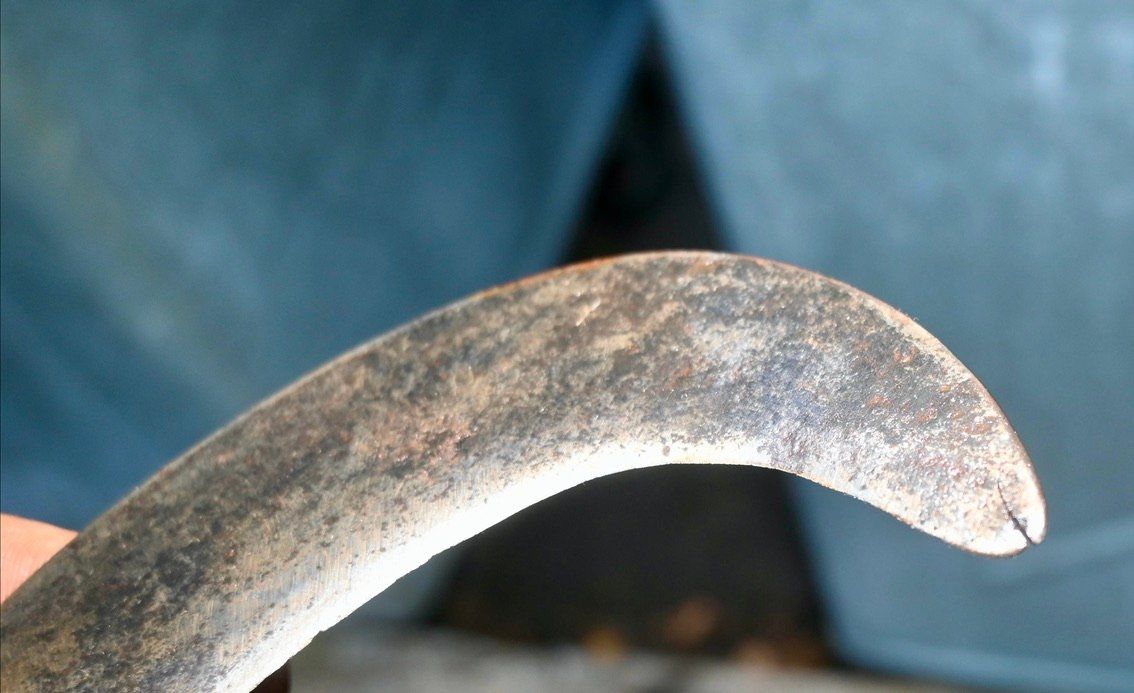 Tutti gli attrezzi: ANTIKE Handsichel Länge ca. 26cm – Usato da Pfaffhausen venduto da mono_rec 7
