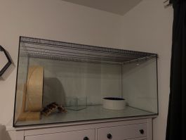 Nagerterrarium Glas mit Gitterabdeckung guter Zustand