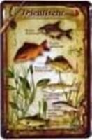 Blechschild - FRIEDFISCHE