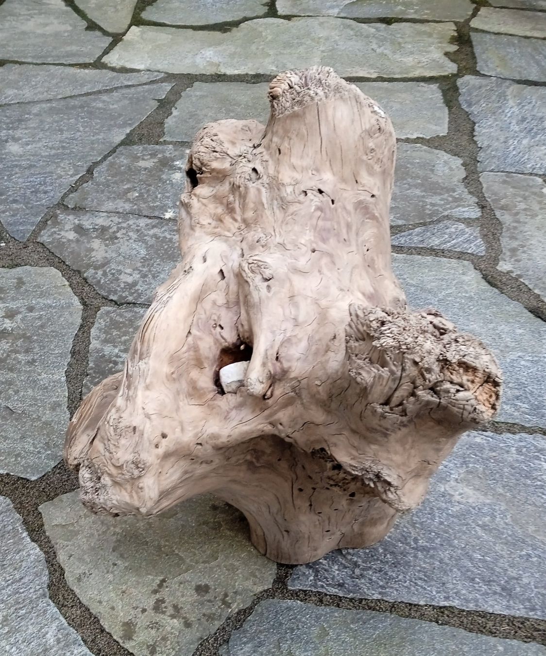 Holzartikel: Wurzel Schwemmholz – Neu und originalverpackt aus Widnau von ForViolin 1