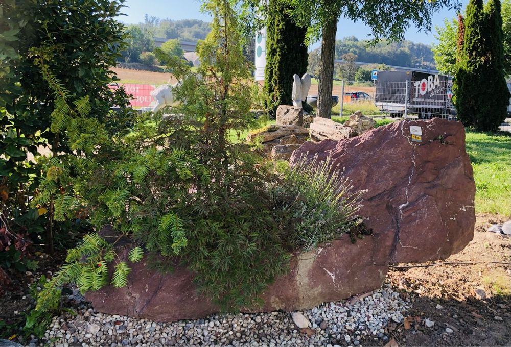 Findling Naturstein als Pflanzstein aus der Schweiz 1 Tonne (Neu ...