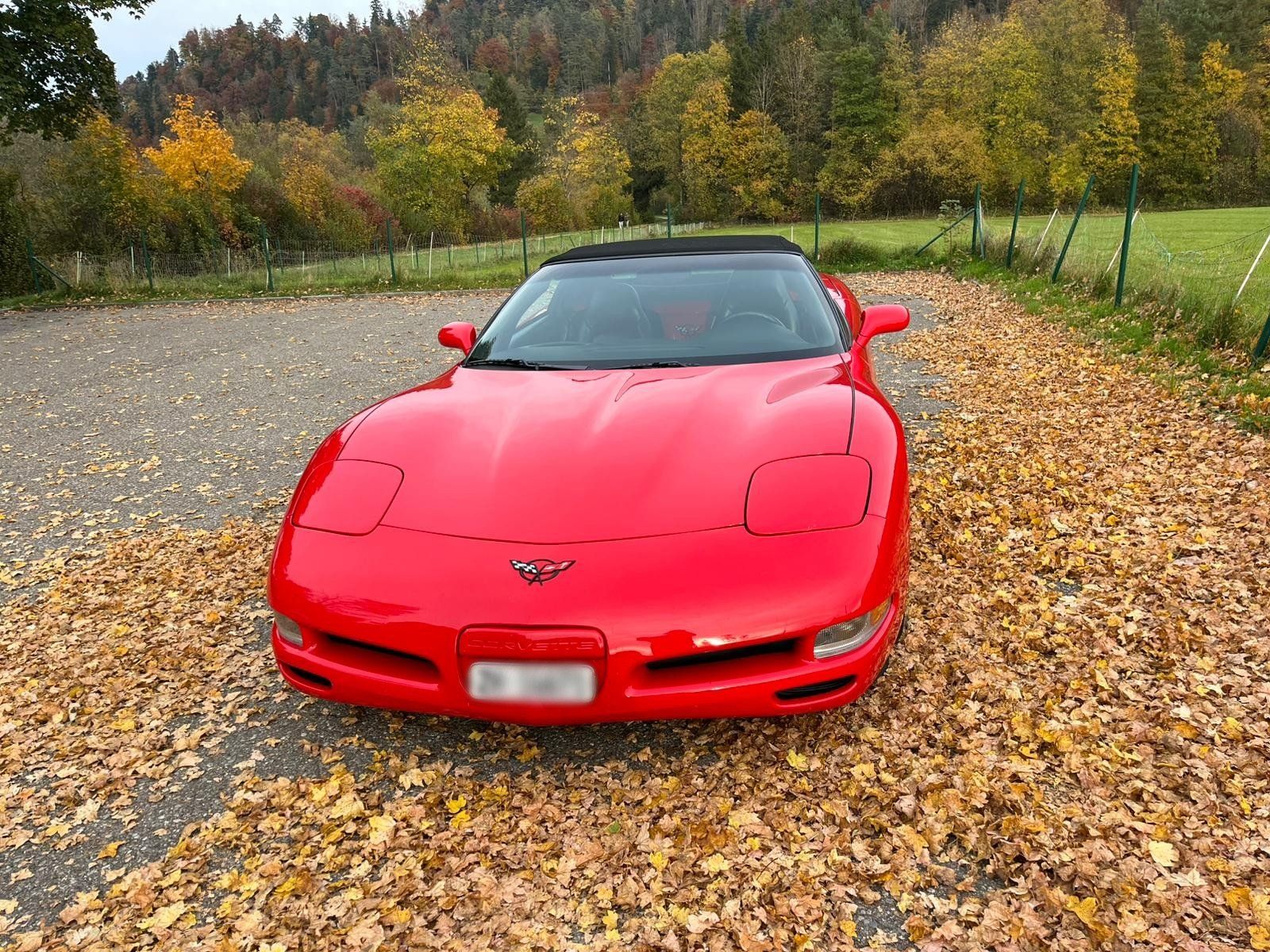 Chevrolet Automobili: Corvette C5 Convertible Top Zustand – Usato da Adetswil venduto da wju