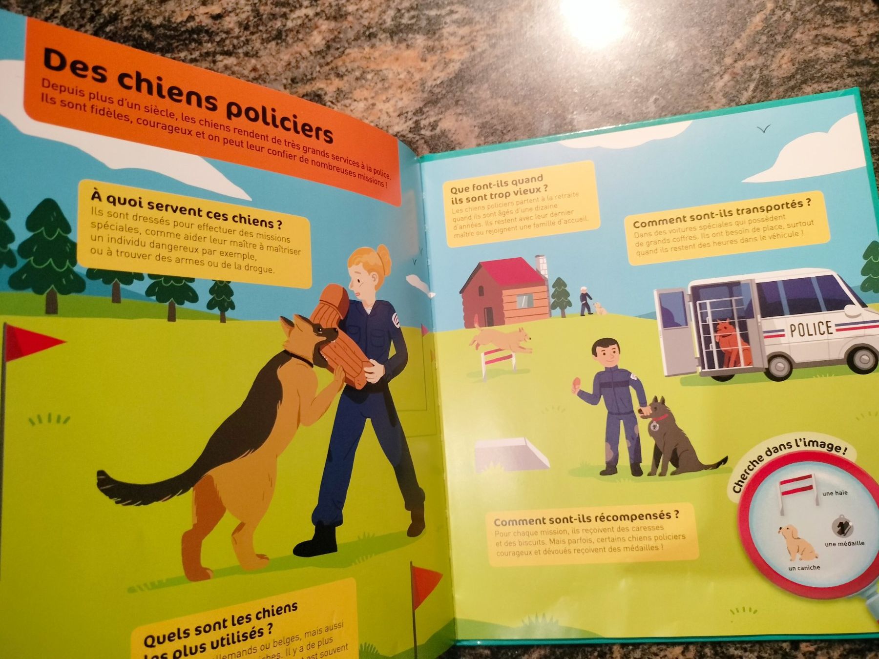 Libri: Les policiers Questions Réponses – Usato da Cortaillod venduto da rozinna 6