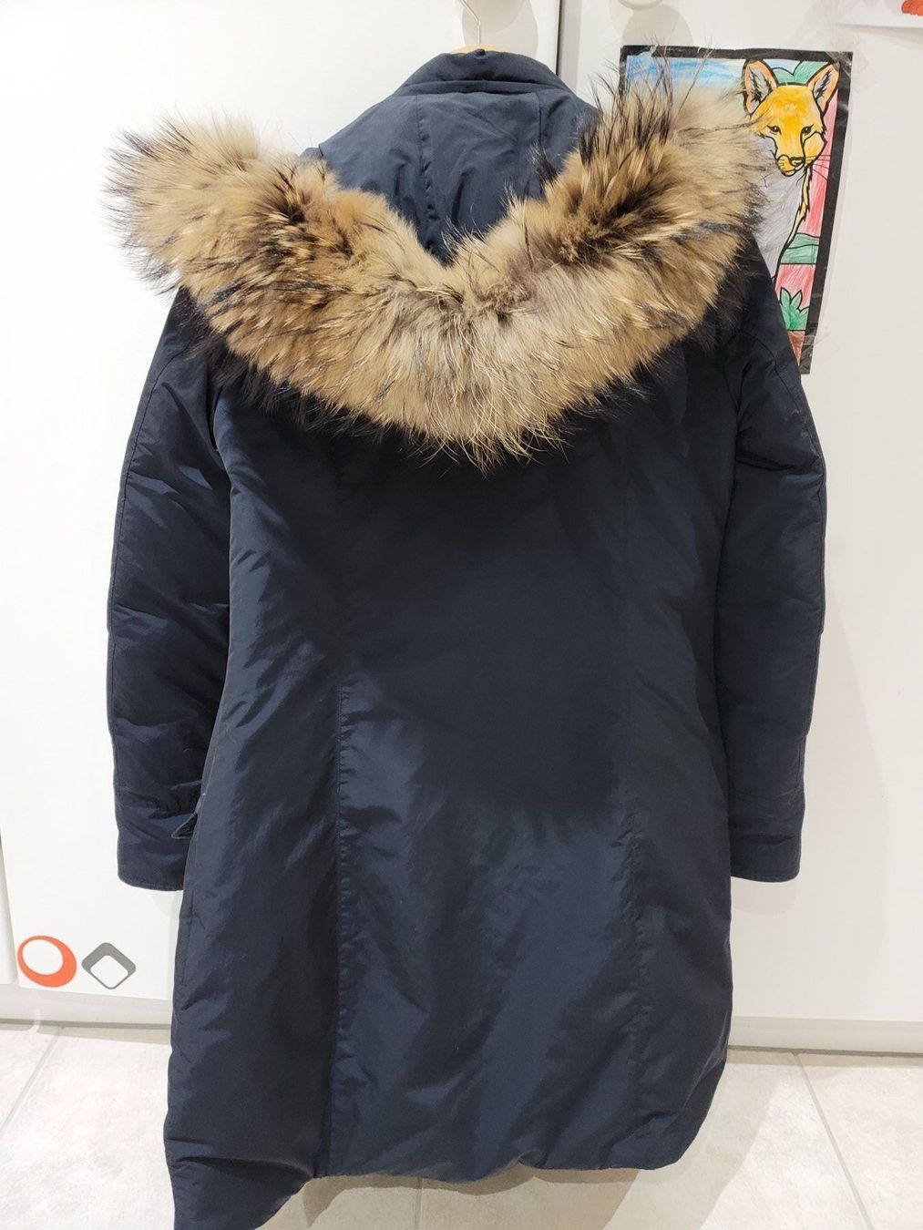 Woolrich Cappotti: Woolrich Parka in Dunkelblau XS – Usato da Neuendorf venduto da fiestashorty84 2