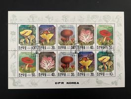 Korea 1991 Pilze  gestempelt  (C572)