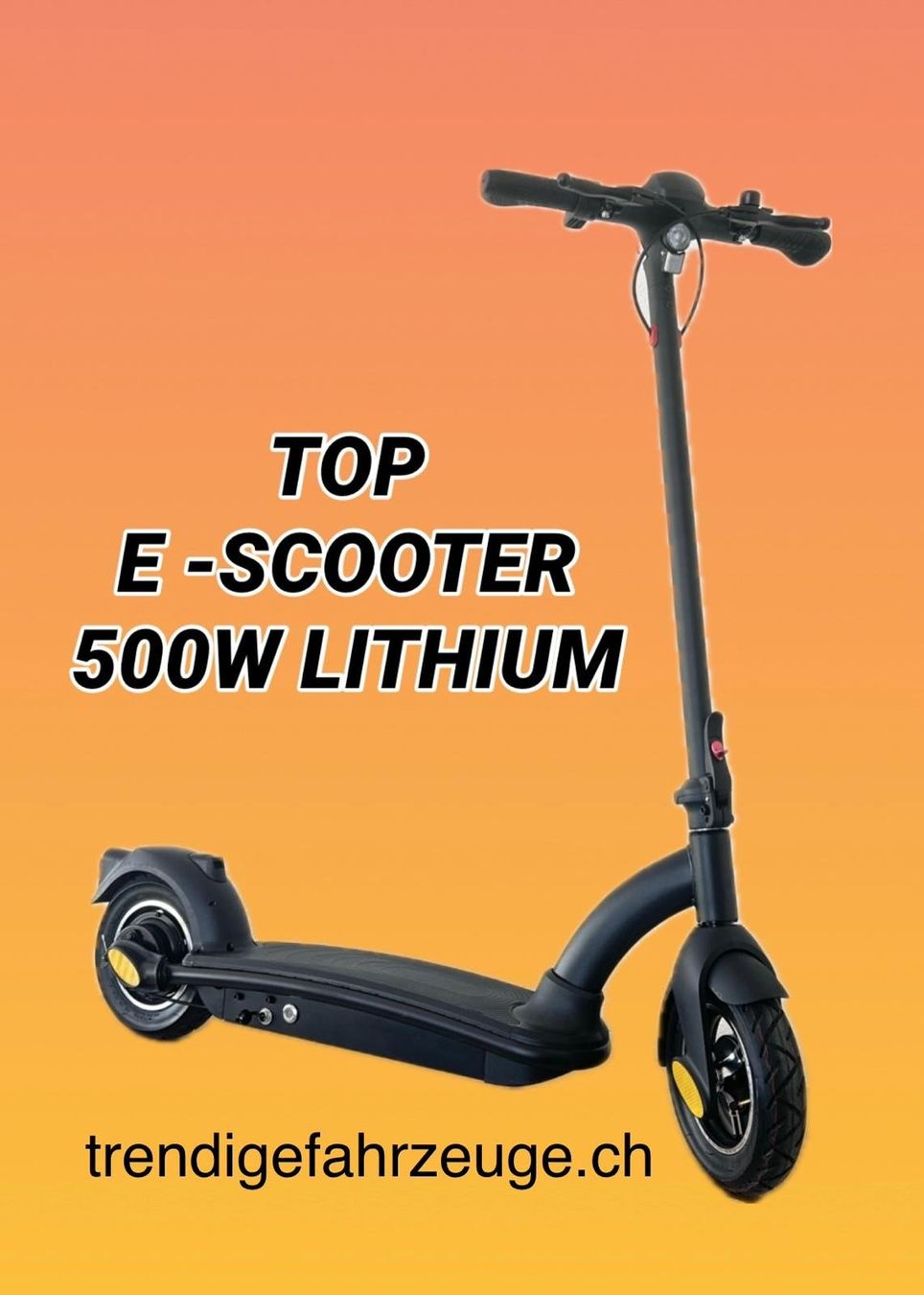 Kickboard: E- Scooter Trottinett E- Roller max. 800W , E- Trotti LED – Nuovo e nell'imballaggio originale da Ruswil venduto da Trendigefahrzeuge 4