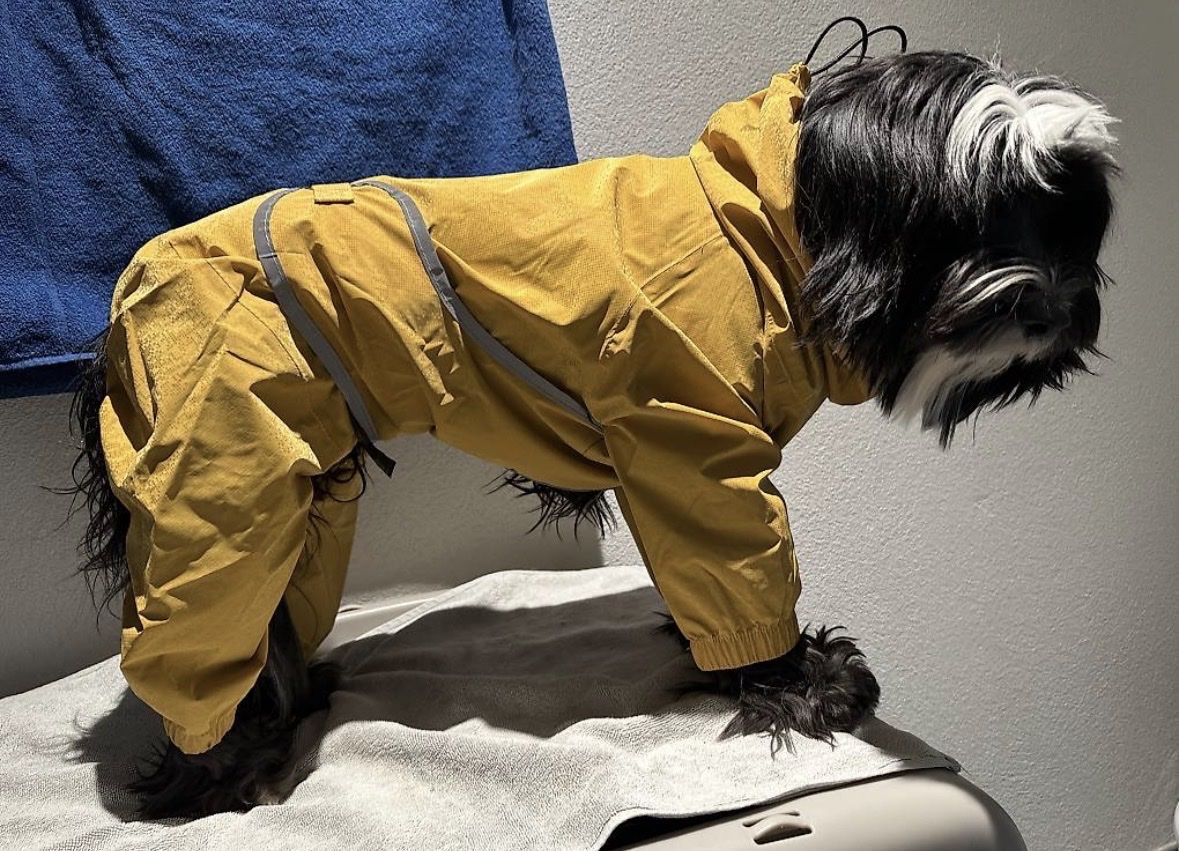 Abbigliamento: Hunde Regenoverall 45 cm – Usato da Feuerthalen venduto da papillon_a 4