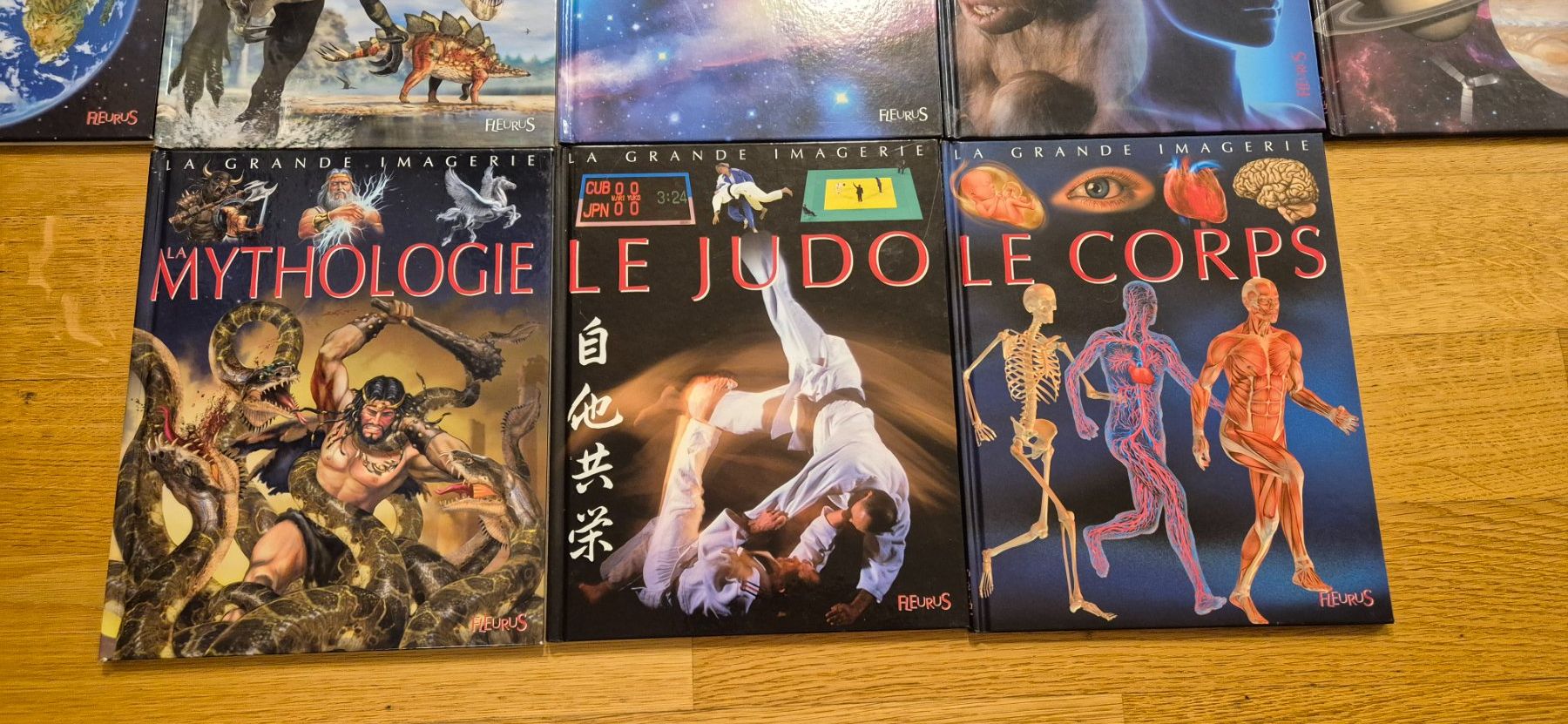 Libri: Livres collection Fleurus – Nuovo (secondo la descrizione) da Lausanne venduto da malimar3 3