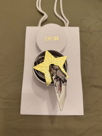 Dior Mitzah-Schal NEU, Ettikette  & ⭐️ Stern 100% Original