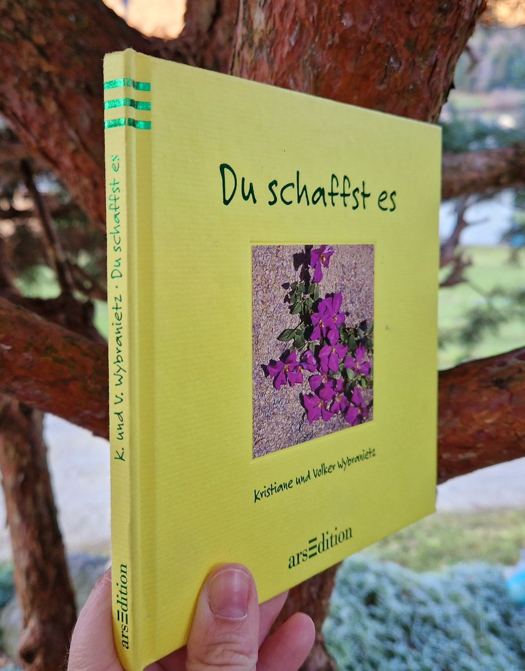 Libri: Buch/Geschenkbuch - Du schaffst es – Usato da Siblingen venduto da Vany_McDougall 1