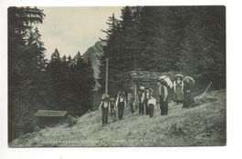 BRISTEN Maderanertal - Alpabfahrt Stössi