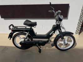 🔥 Piaggio Si Mofa 50ccm GRÜN top Zustand 🔥