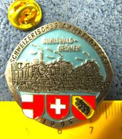SCHWEIZER DAMPFLOK-FEST 1995 SUMISWLD GRÜNEN PIN GEPRÄGT SIL