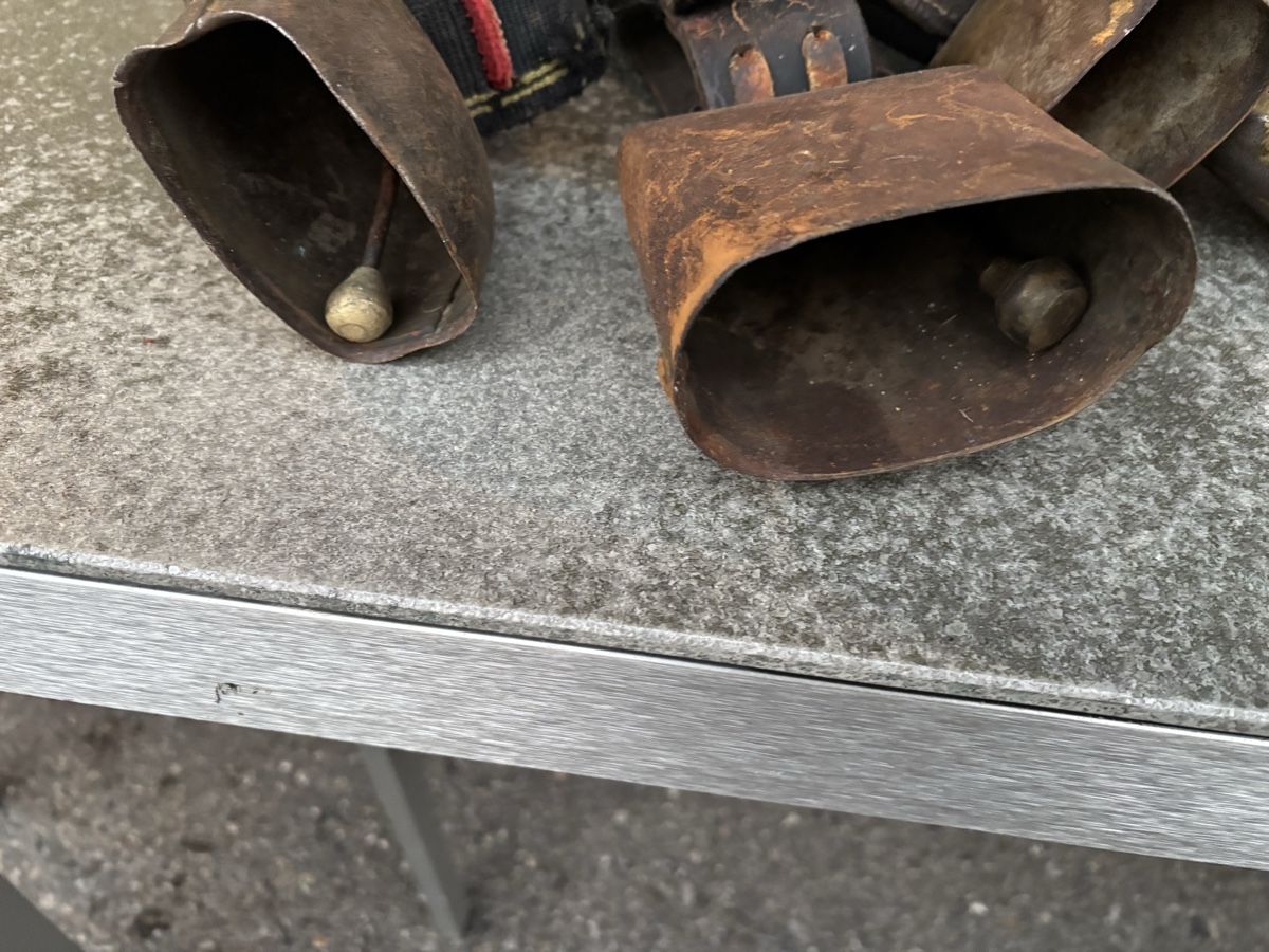 Campanacci mucche: 4 Bissen. – Usato da Schangnau venduto da Roseggli82 4