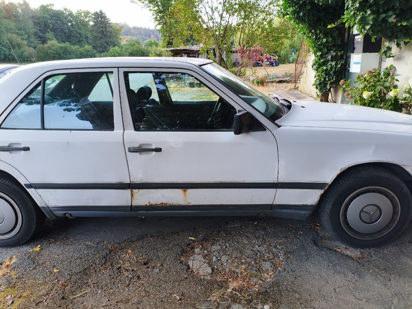 Mercedes-Benz Automobili: Mercedes Benz E300D W124 – Usato da Ostermundigen venduto da grafilus 4